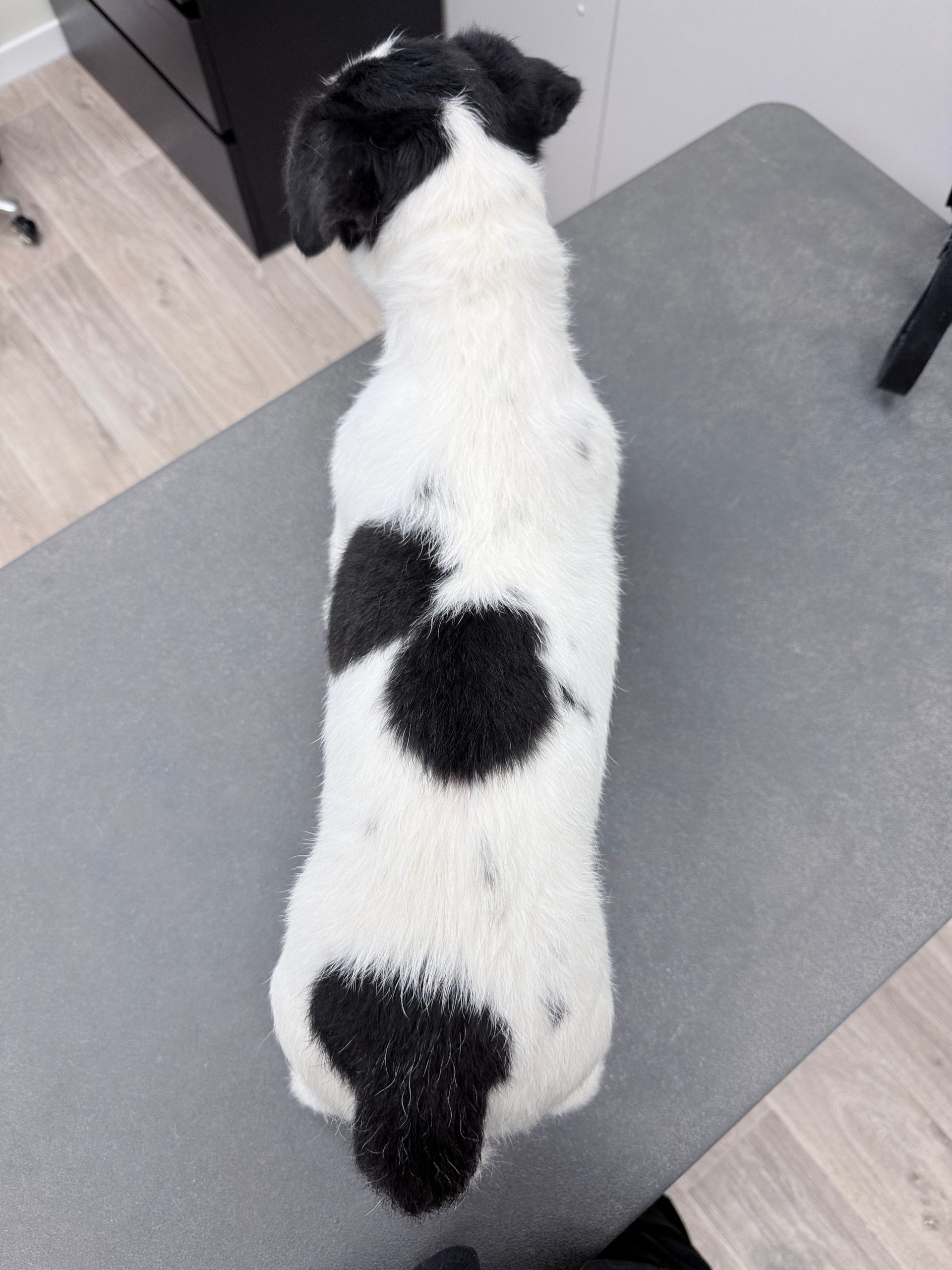 Na foto plukken vanaf boven 3