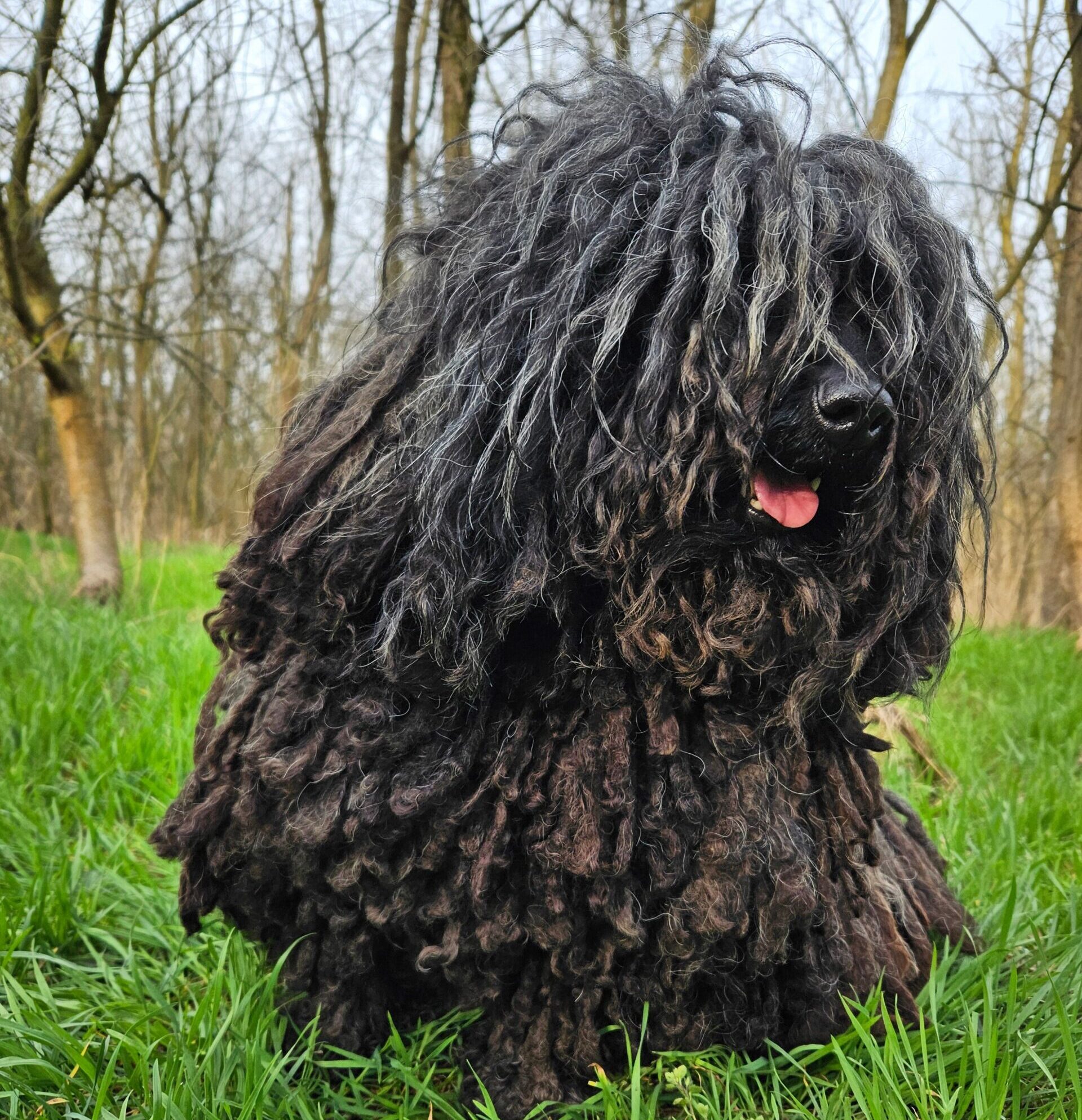 mattedcoat